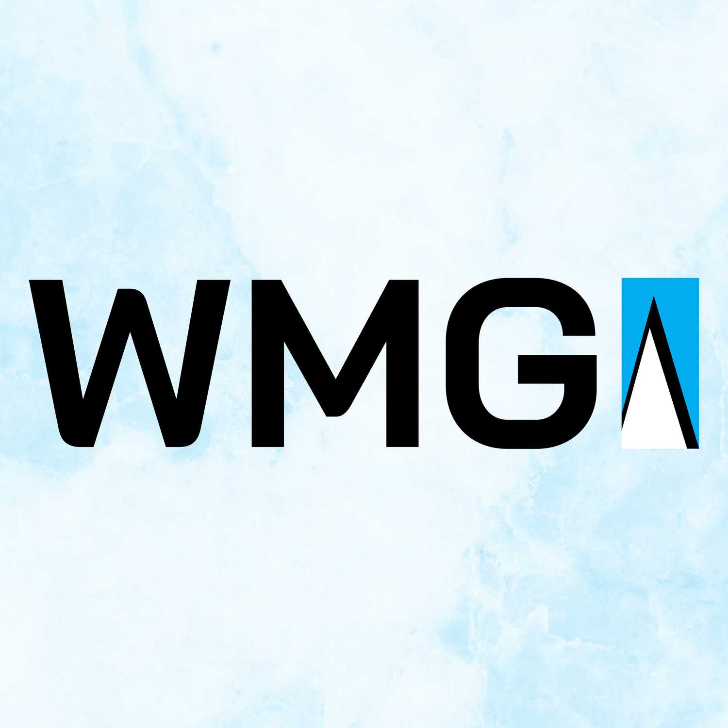 Washington Media Group logo